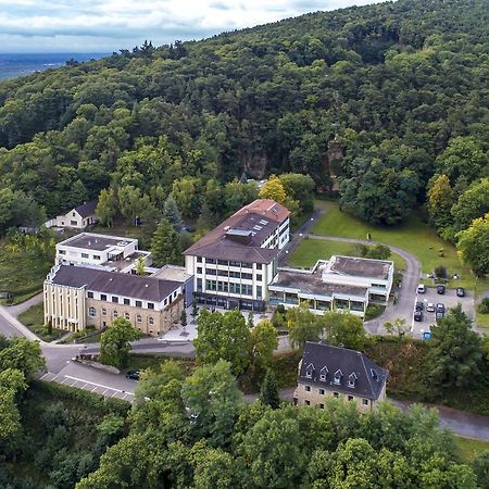 Kloster Neustadt Neustadt an der Weinstrasse Luaran gambar
