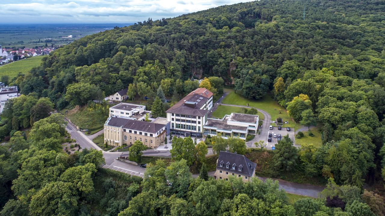 Kloster Neustadt Neustadt an der Weinstrasse Luaran gambar